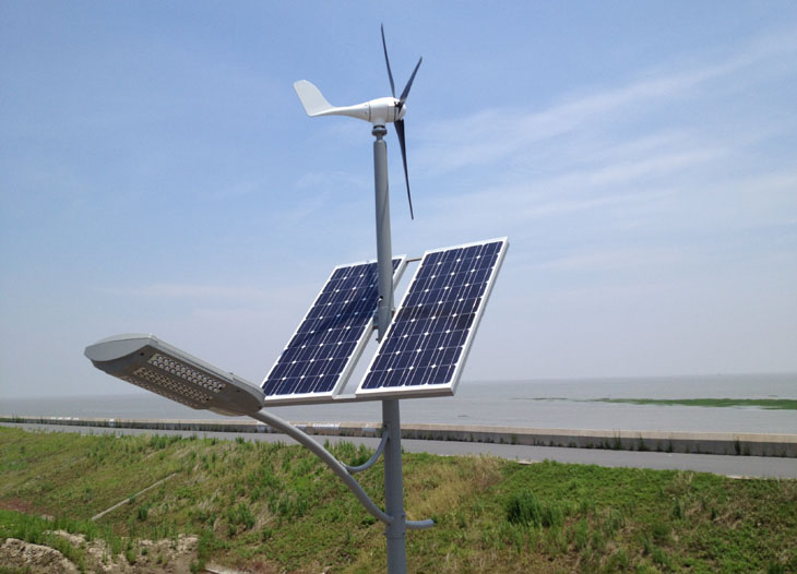 5fdc1d995aa9f.jpg fghbldtp_2.jpg