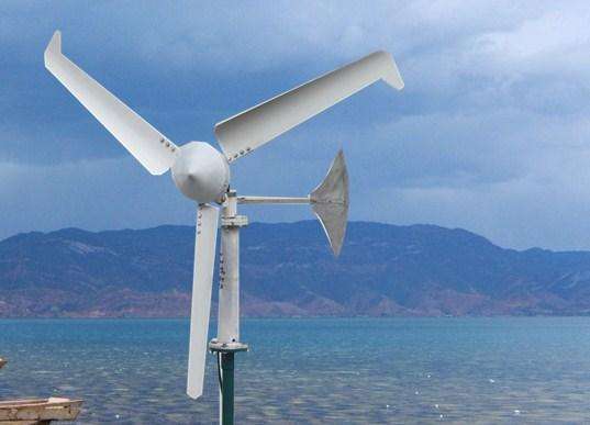 5fdc281a7cb01.jpg 02.jpg